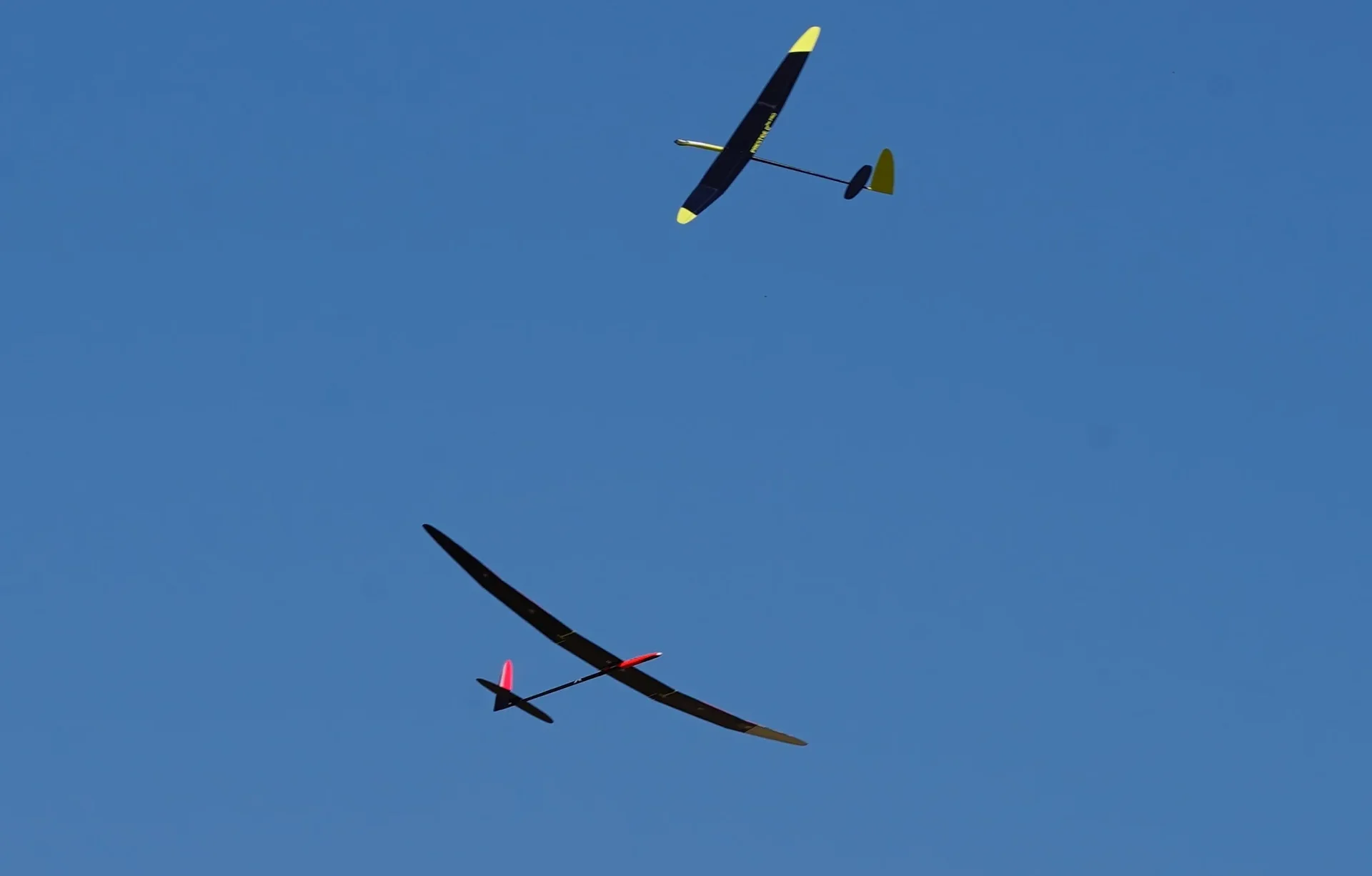 Club members at the field