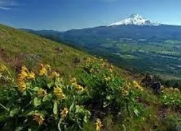 Bald Butte