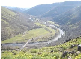Klickitat